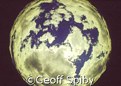 the blue planet
taken from the bottom of a pool in a mou... by Geoff Spiby 